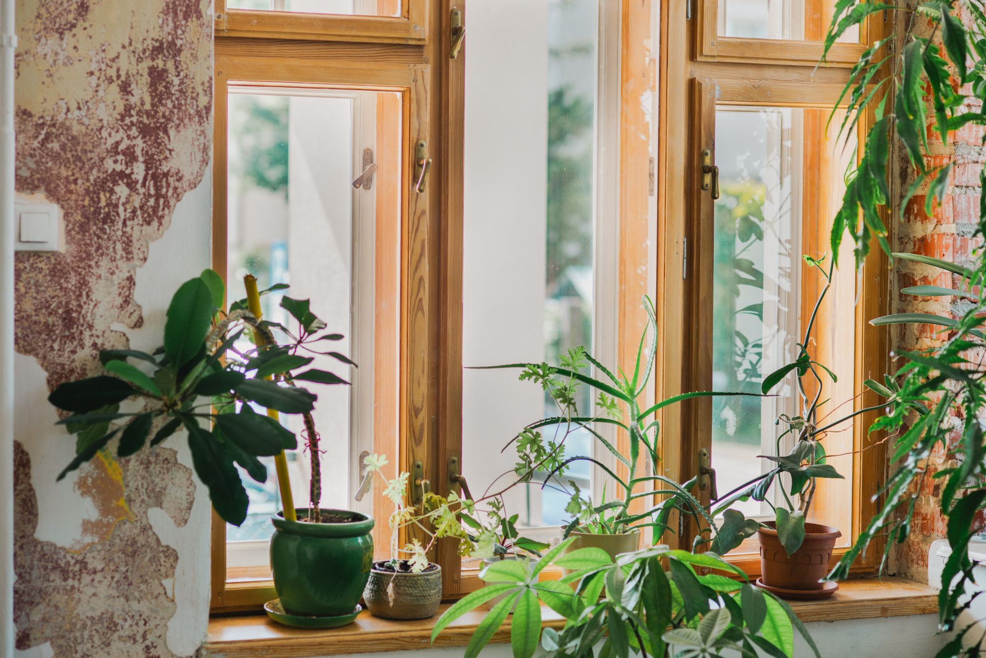 zdjęcie okien w Willi Januszów przy ul. Jagiellońskiej 24 w Rzeszowie